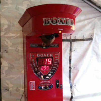Boksz - Box gép
